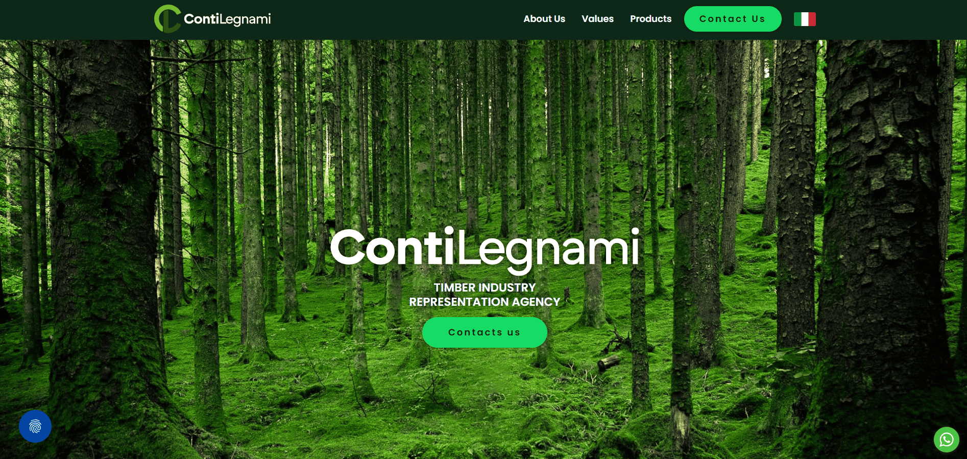 Sito web Conti Legnami